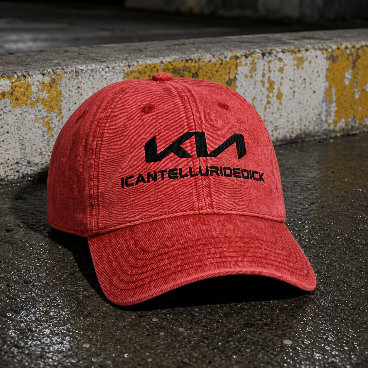 ICANTELLURIDEDICK WASHED DAD HAT